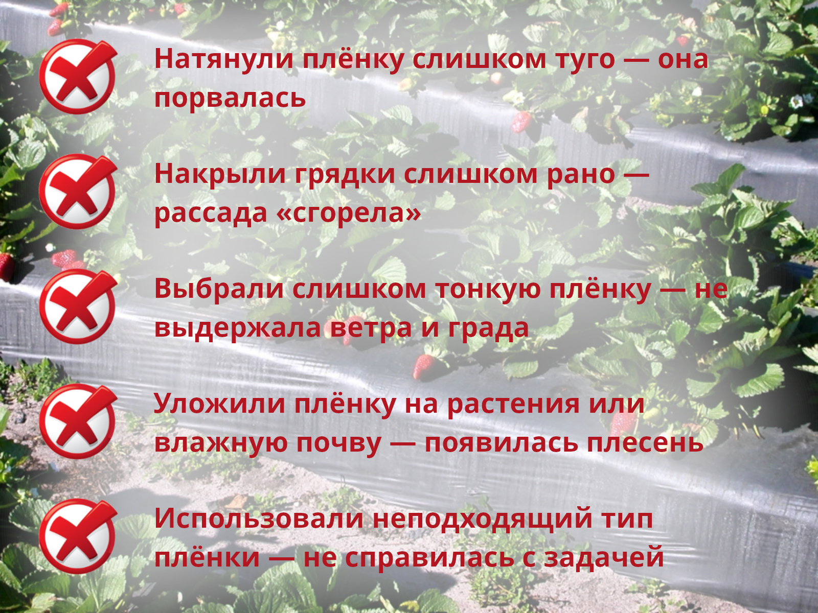 52904_04.jpg